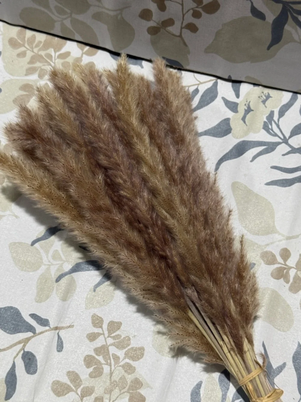 Dried Pampas Grass Bouquet — Brown Home Accent